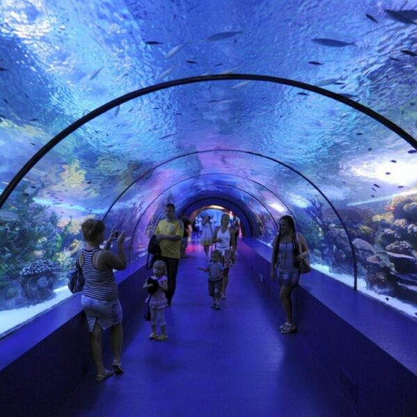 Antalya Aquarium Tour von Alanya